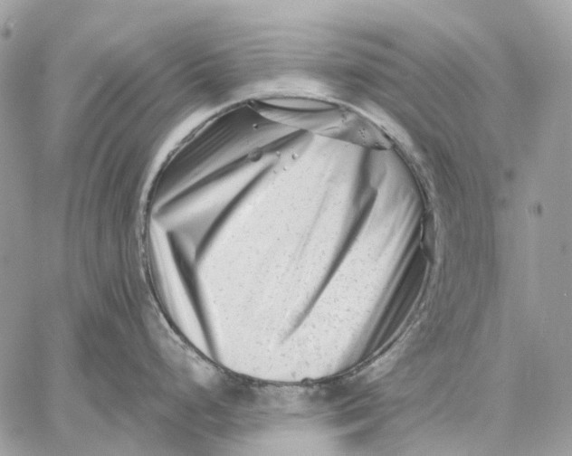 X0000058771248200510211715