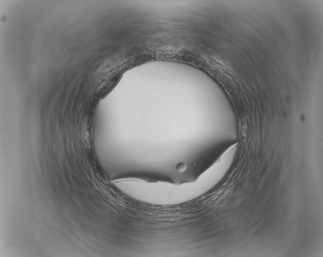 X0000058771252200510211714