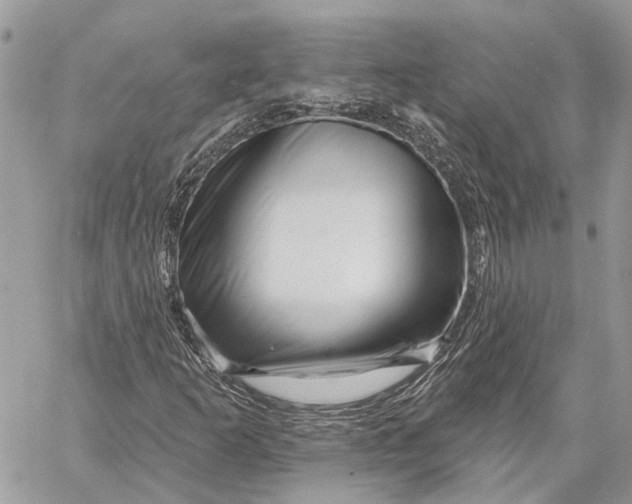 X0000058771253200510211714