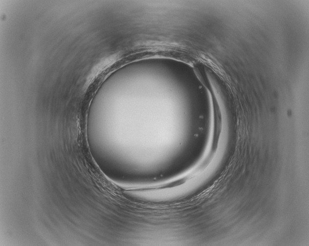 X0000058771261200510211714