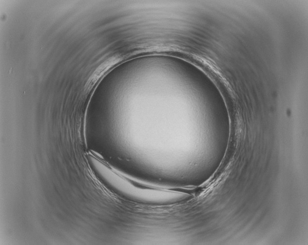 X0000058771273200510211714