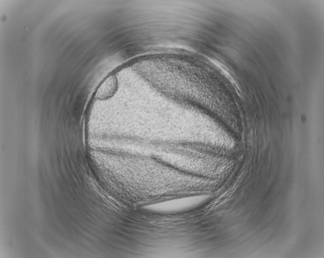 X0000058771275200510211714