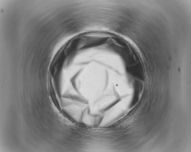 X0000058771295200510211713