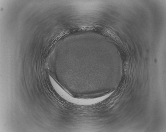 X0000058771298200510211712