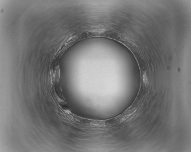 X0000058771299200510211712