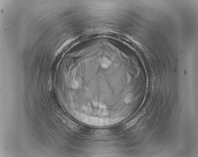 X0000058771306200510211713