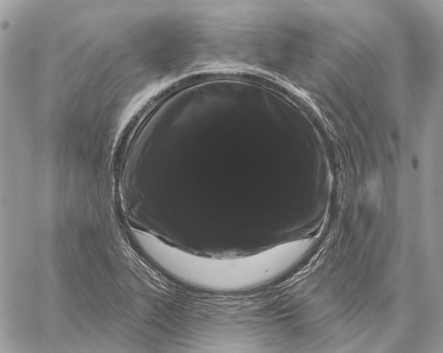X0000058771319200510211713
