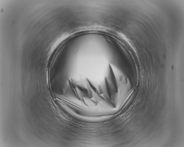 X0000058771320200510211713