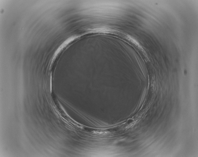 X0000058771323200510211713