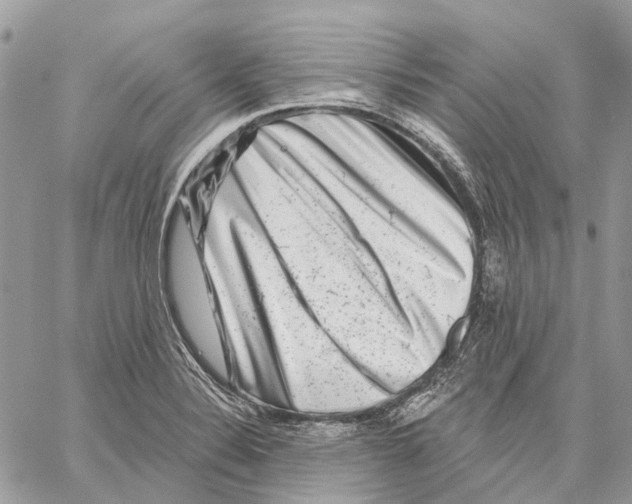 X0000058771324200510211713