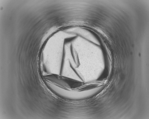 X0000058771325200510211713