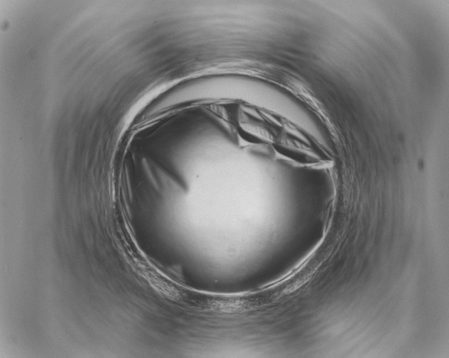 X0000058771328200510211713