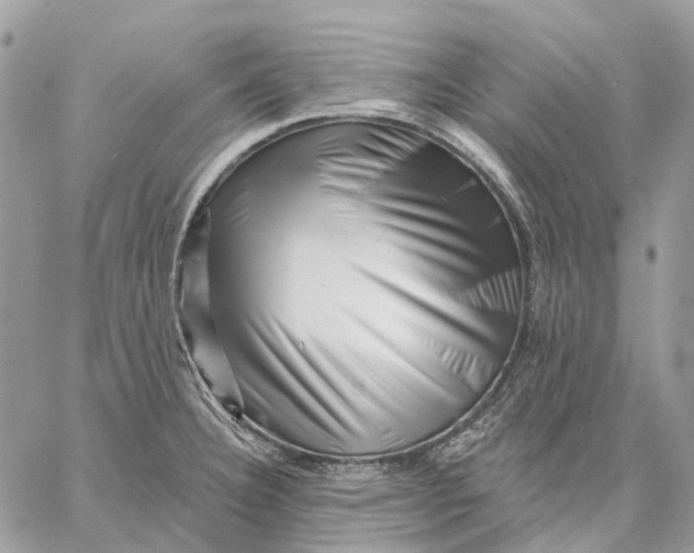 X0000058771332200510211713