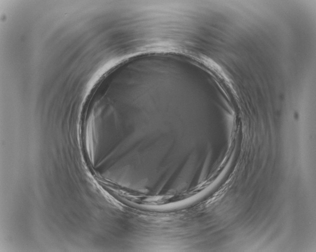 X0000058771334200510211713