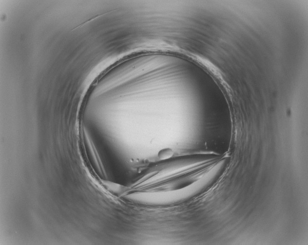 X0000058771335200510211713