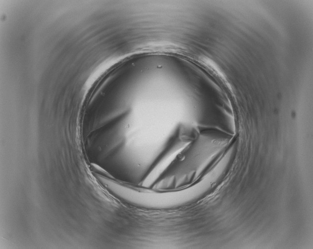 X0000058771336200510211713