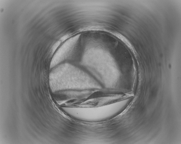 X0000058771337200510211713