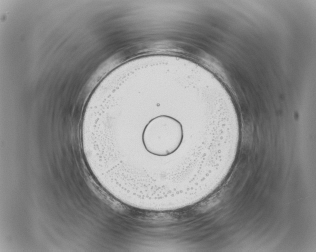 X0000058771338200510211713