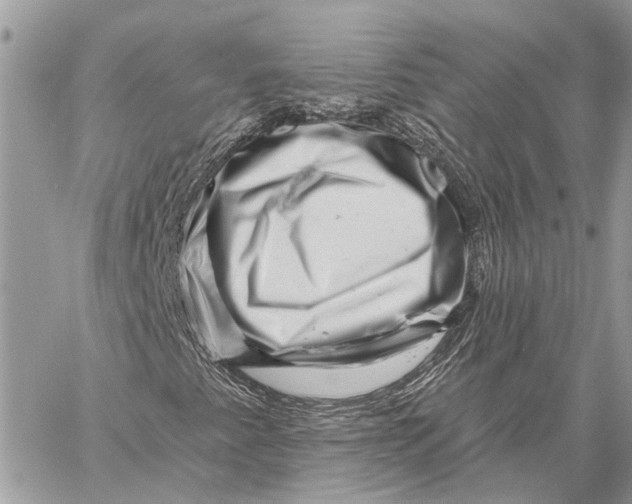 X0000058771345200510211712