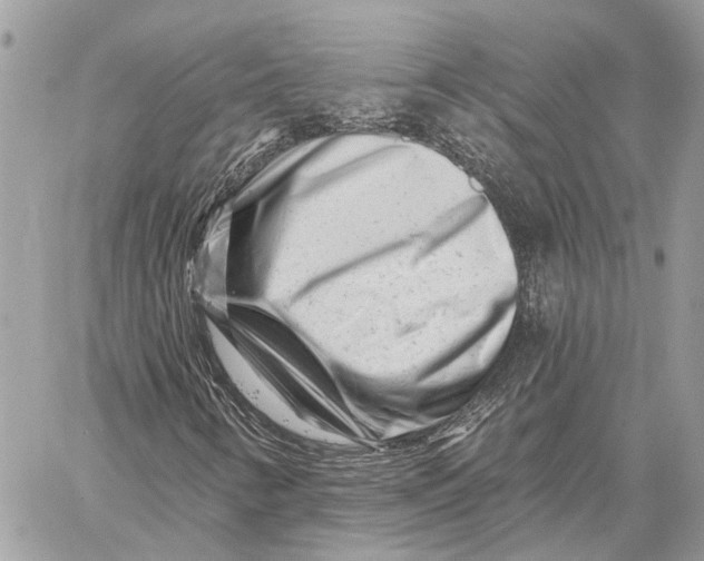 X0000058771346200510211712