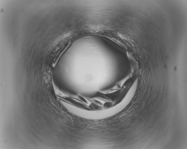 X0000058771349200510211712