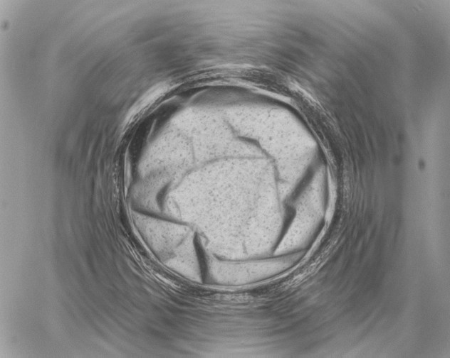 X0000058771354200510211712