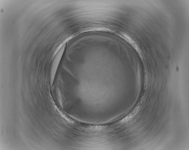 X0000058771377200510211712
