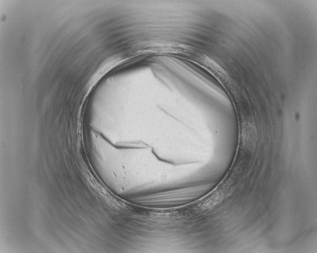 X0000058771378200510211712