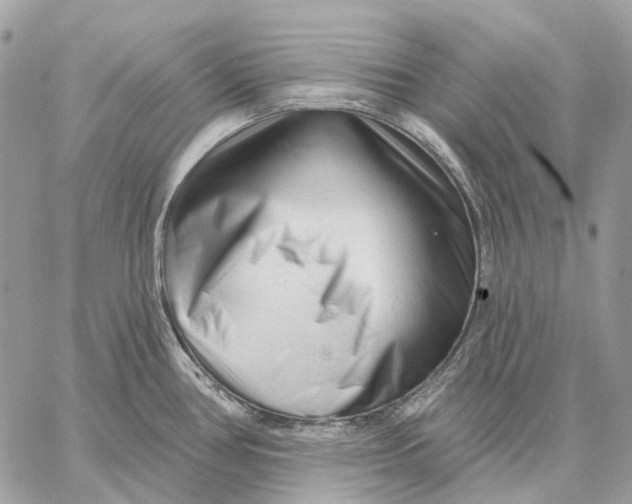 X0000058771386200510211712