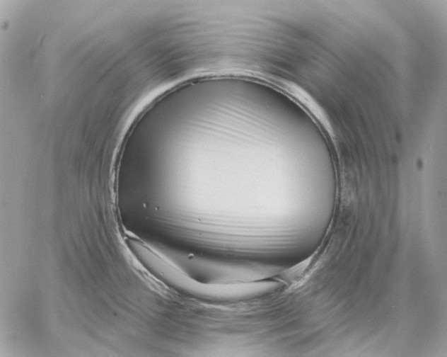 X0000058771388200510211712