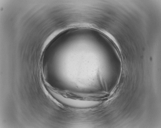 X0000058771389200510211712