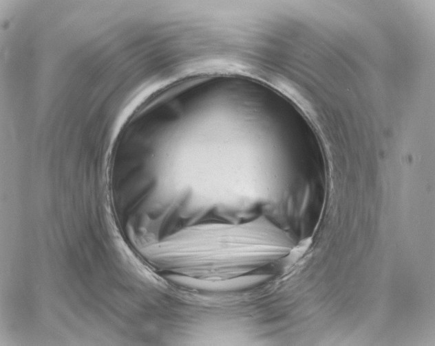X0000058771392200510211712