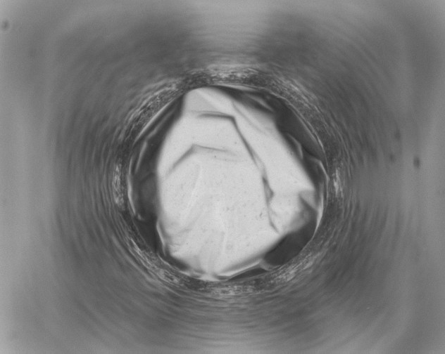 X0000058771396200510211711