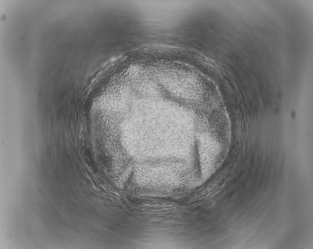 X0000058771397200510211711