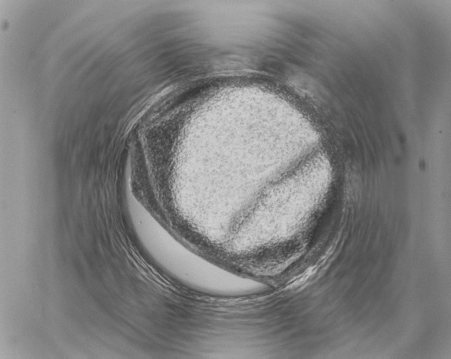 X0000058771401200510211711