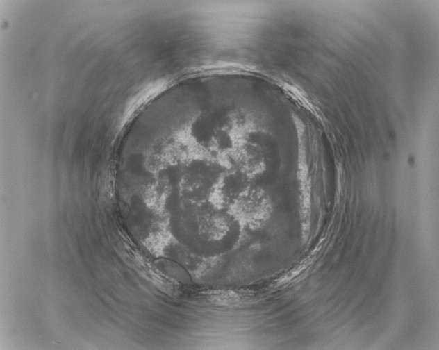 X0000058771405200510211711
