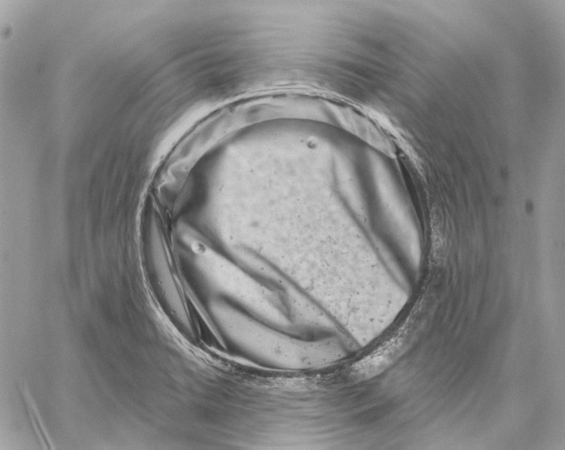 X0000058771422200510211711