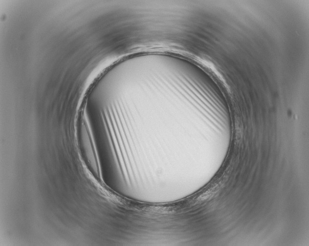 X0000058771424200510211711