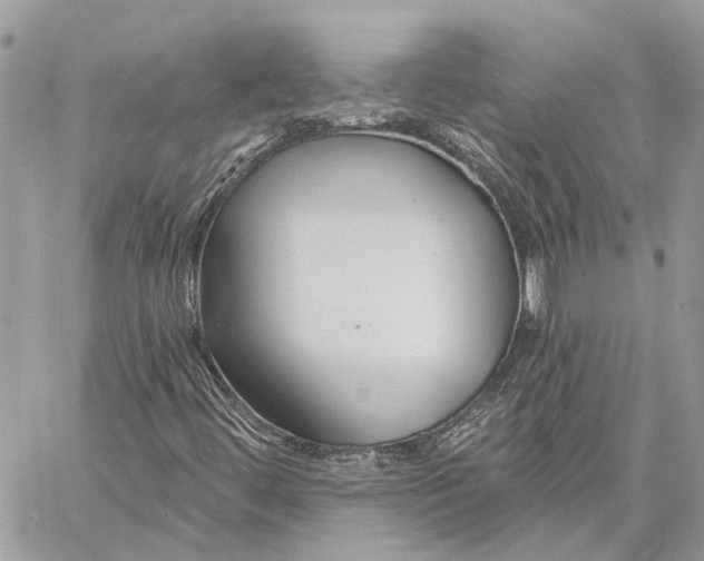 X0000058771444200510211711