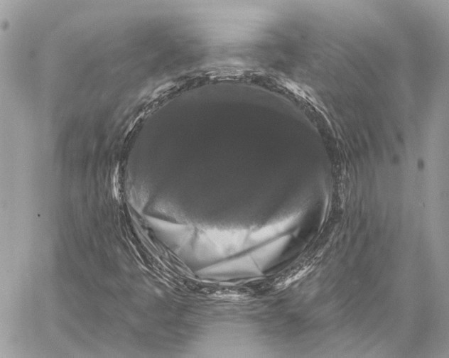 X0000058771445200510211711