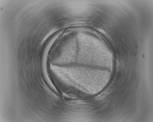 X0000058771450200510211711