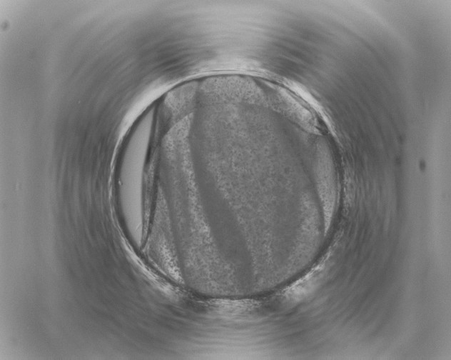 X0000058771469200510211710