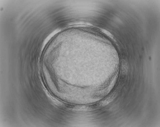 X0000058771474200510211710