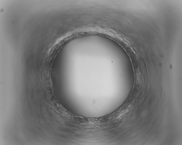 X0000058771494200510211709