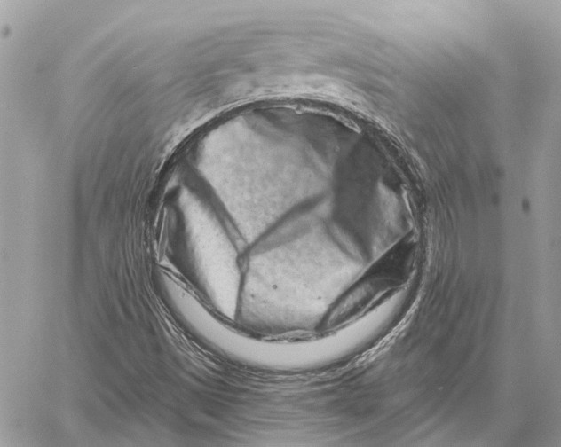 X0000058771497200510211709