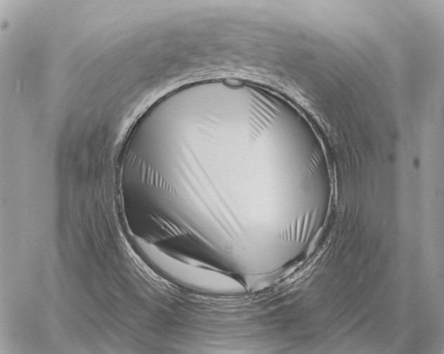 X0000058771500200510211709