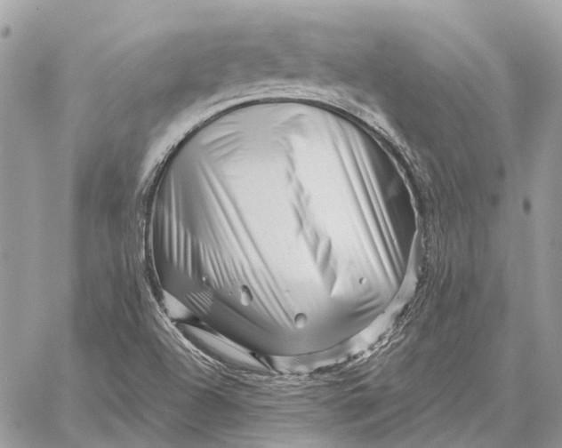 X0000058771504200510211709