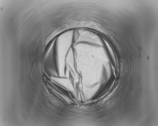 X0000058771505200510211710