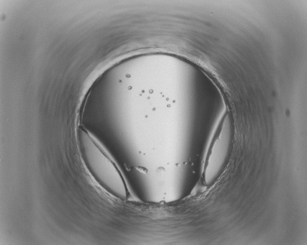X0000058771516200510211710