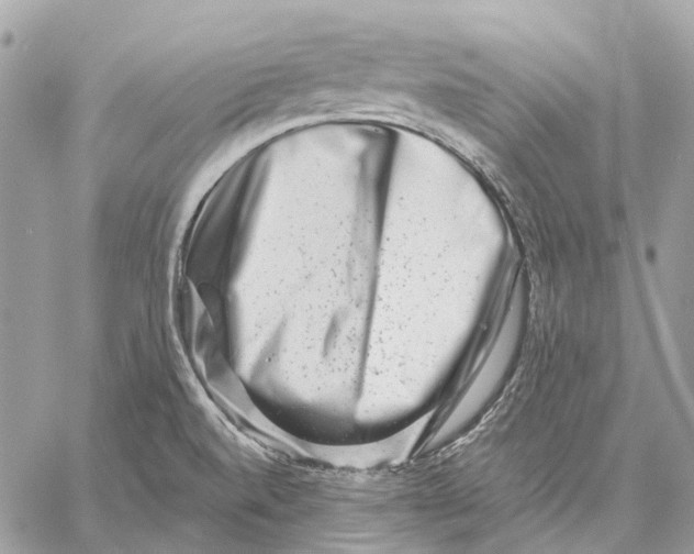 X0000058771520200510211710